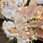 Gelb-Rosa Orchidee im Blumentopf