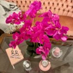 Pinke Orchidee im Zementtopf