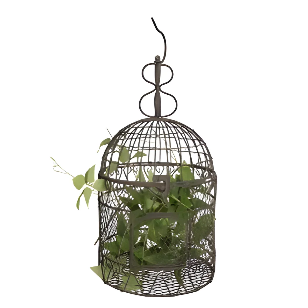 Vogelkäfig-Futterspender | Grün, Metall | Kapazität 2,8 Lbs (ca. 1,3 Kg) | Eichhörnchensicher, Mit Tablett